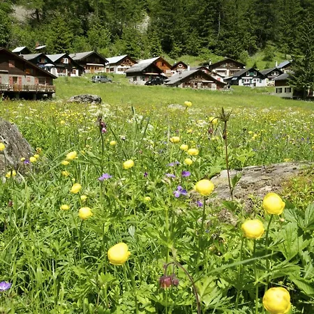 Les Mesanges - * Salvan