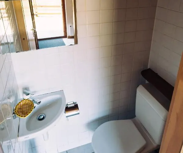 Les Mesanges - Salvan